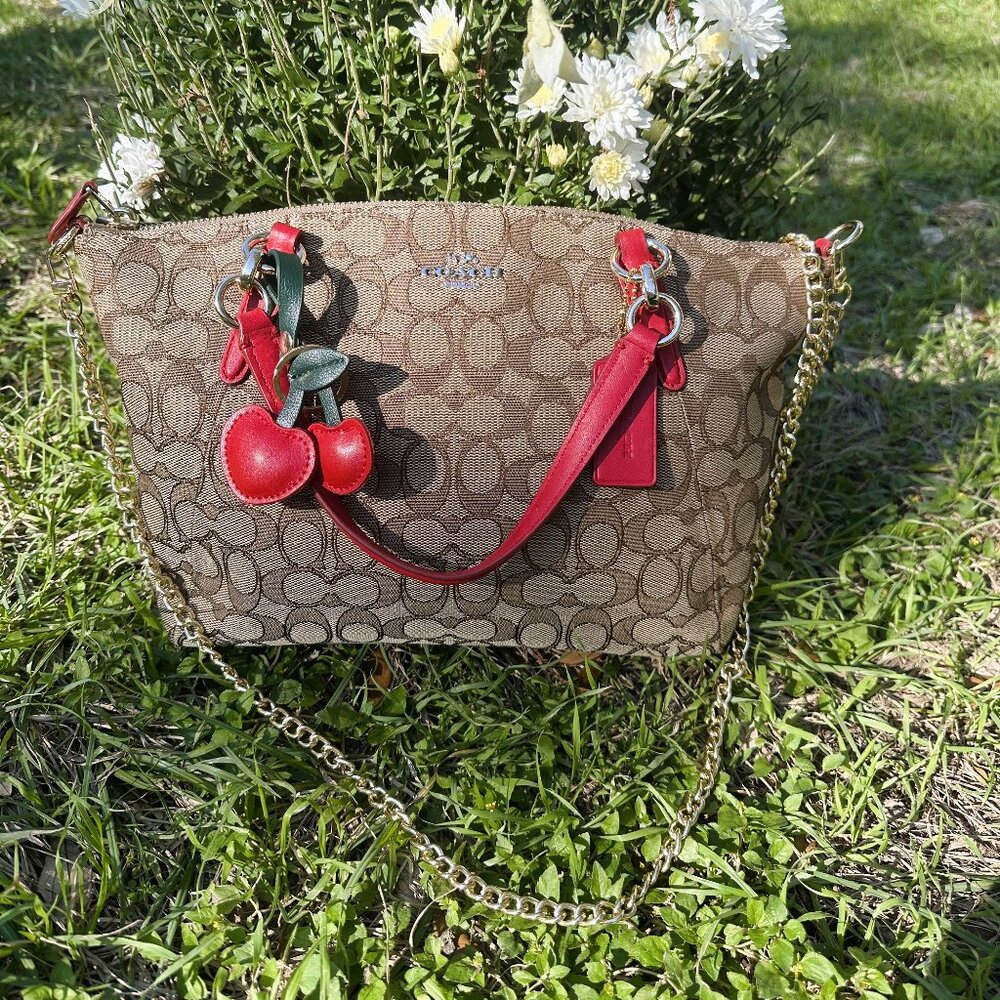 Coach Mini Kelsey Satchel Crossbody - Picture 11 of 16